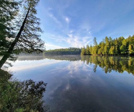 Saranac Lake Islands Campground - Campsite #44