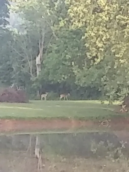 Country Roads Park Inc Picture 6