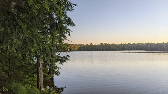 Little Green Pond Picture 1
