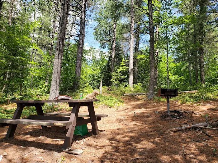 Buck Pond Campground Picture 4