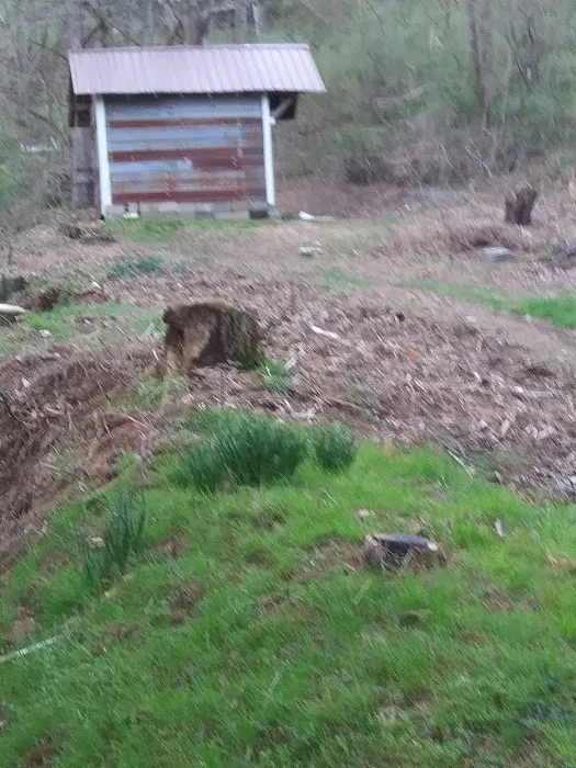 Sand Hill Mobile Home Park Picture 4