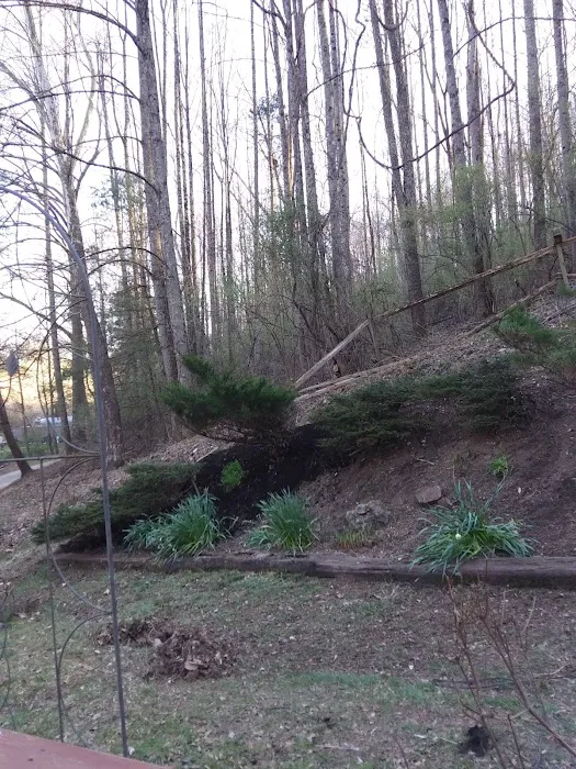 Sand Hill Mobile Home Park Picture 3