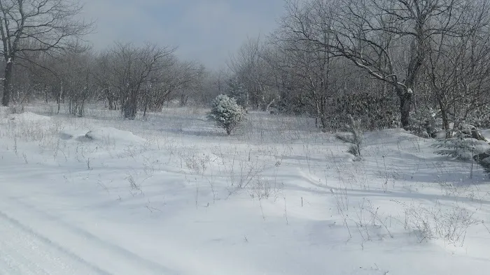 Ferrell Mobile Home Park Picture 9