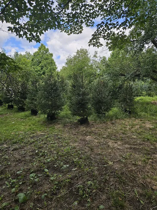 Northern NH Nursery Garden Center and Waterfront Camping Picture 2
