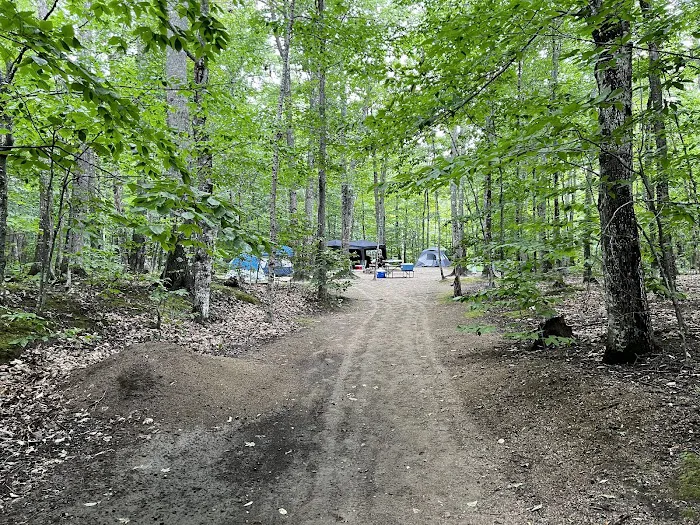 Crawford Notch Campground Picture 4