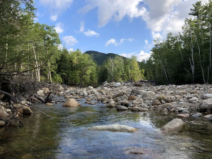 Dry River Campground Picture 5