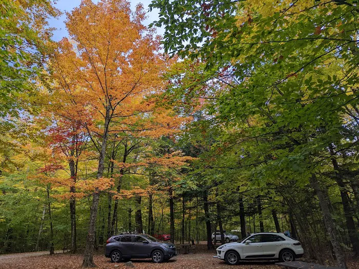 Dry River Campground Picture 10