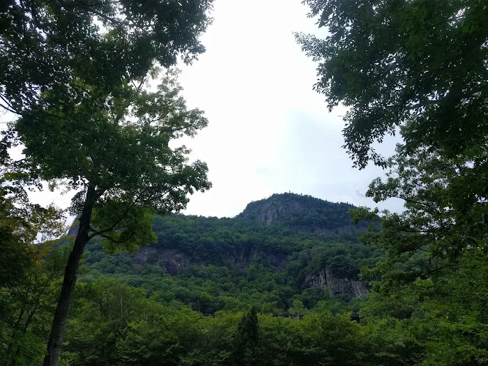 Dry River Campground Picture 6