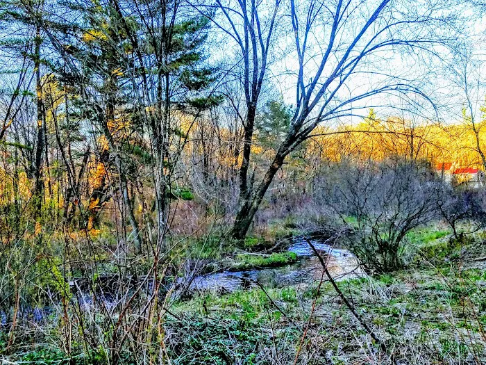 Transvale Acres Picture 5