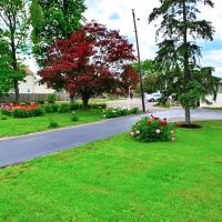 Horning Mobile Manor ico