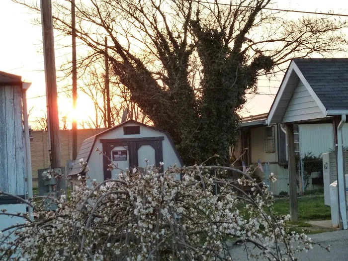 Hazelhurst Mobile Home Park Picture 2