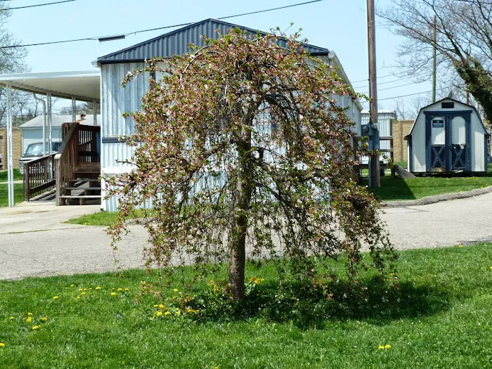 Hazelhurst Mobile Home Park Picture 3