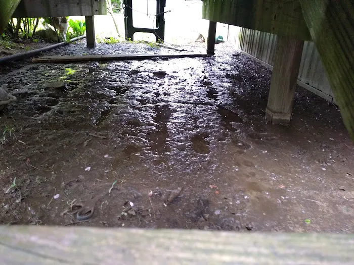 Branch Hill Mobile Home Park Picture 10
