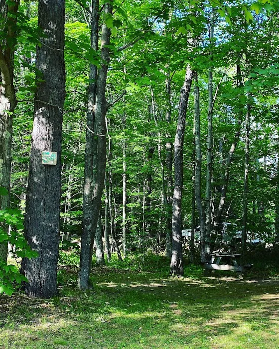 Twin Mountain Campground Picture 9