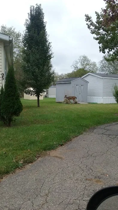 Forest Creek Mobile Home Park Picture 9