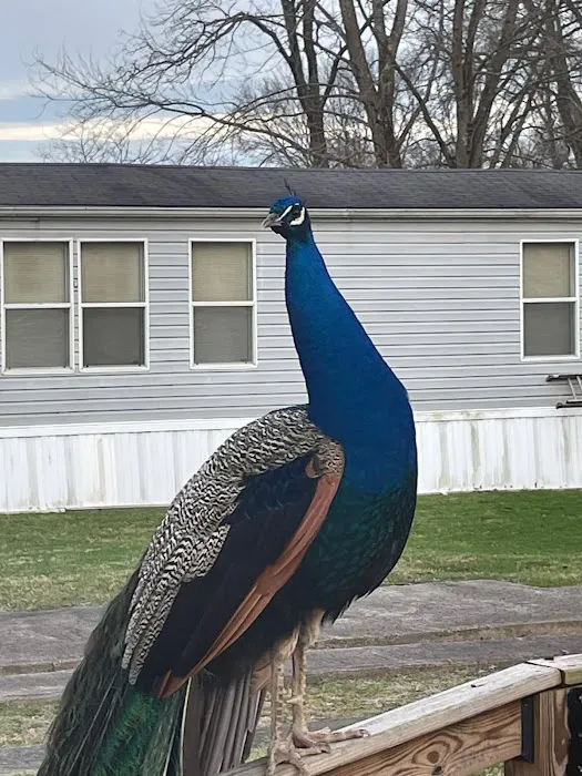 Forest Creek Mobile Home Park Picture 8