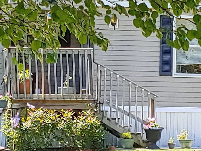 Forest Creek Mobile Home Park Picture 3