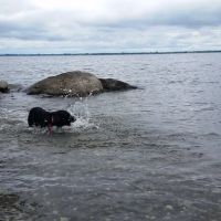 Champlain Valley Campground ico