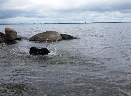 Champlain Valley Campground
