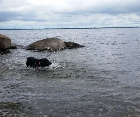 Champlain Valley Campground