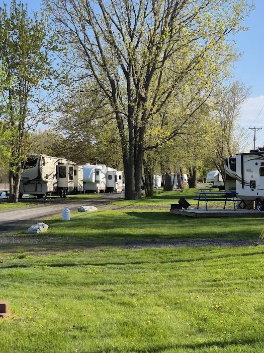 Carry Bay Campground Picture 1