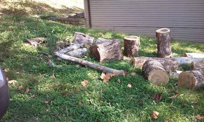Elephant Hill Mobile Home Park Picture 3