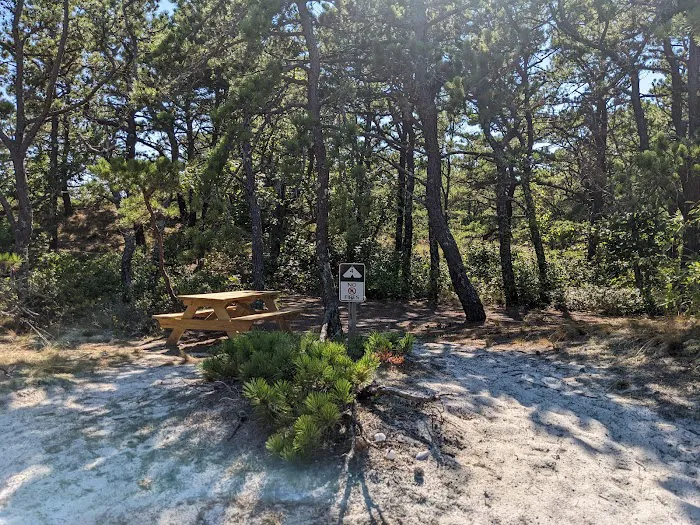 Sandy Neck Camp Sites Picture 9