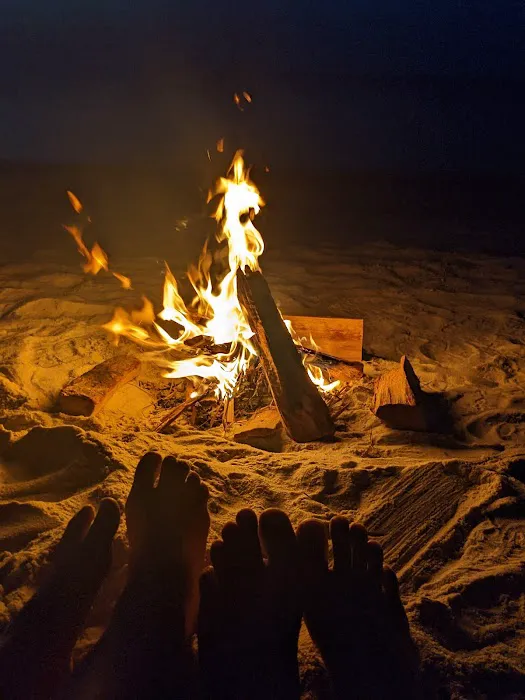 Sandy Neck Camp Sites Picture 4
