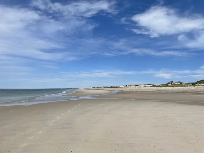 Sandy Neck Camp Sites Picture 2