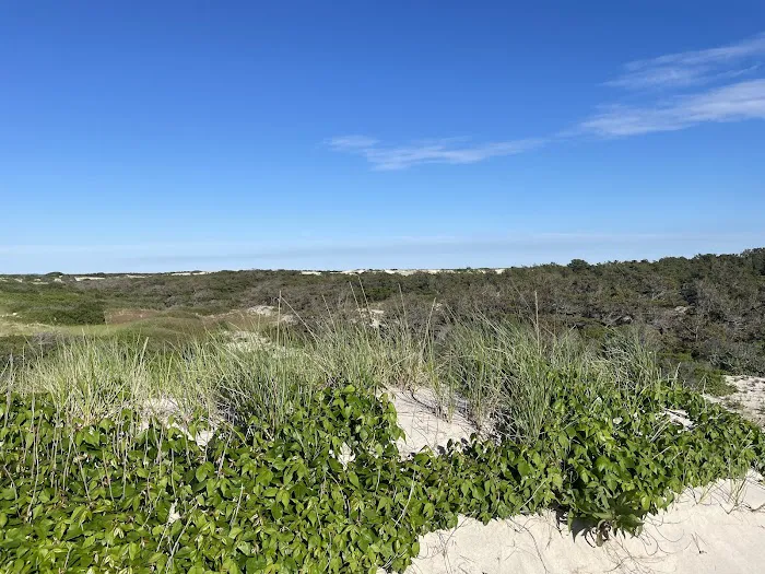 Sandy Neck Camp Sites Picture 3