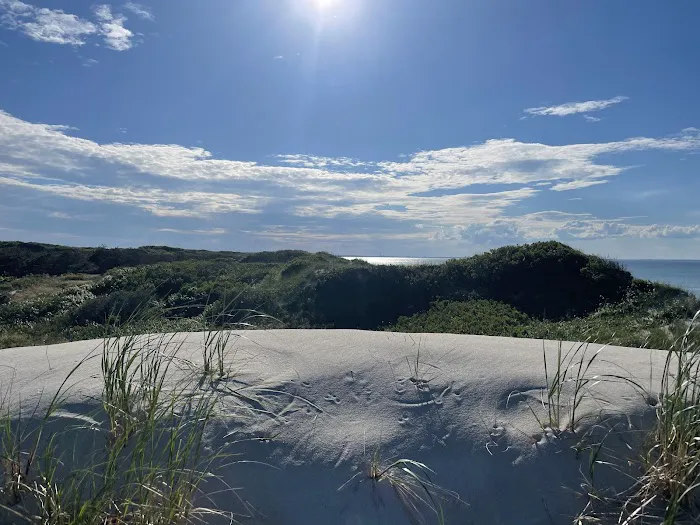 Sandy Neck Camp Sites Picture 7