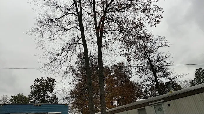 Tall Timbers Mobile Home Park Picture 3