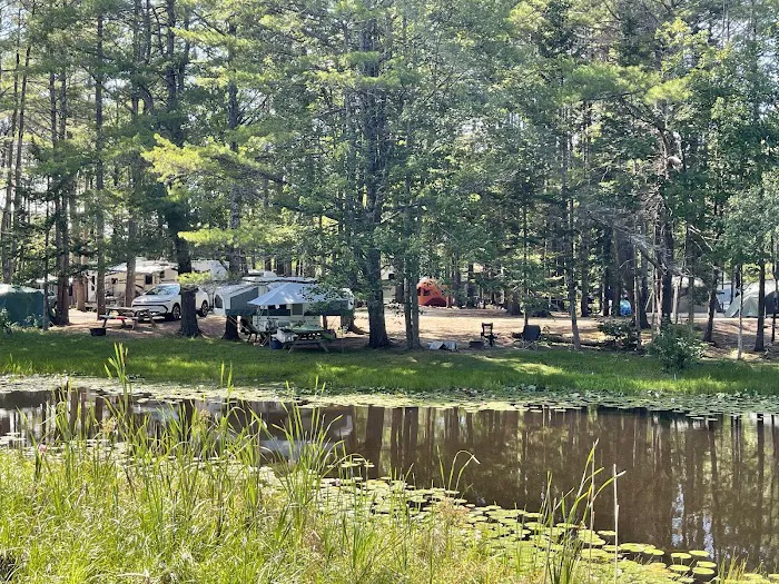 Ocean Pines Campground Picture 4
