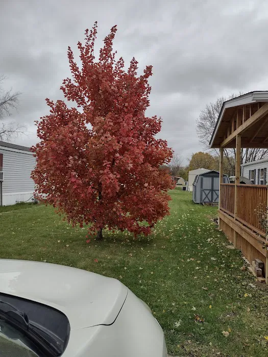 Green Acres Mobile Home Court Picture 1