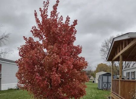 Green Acres Mobile Home Court