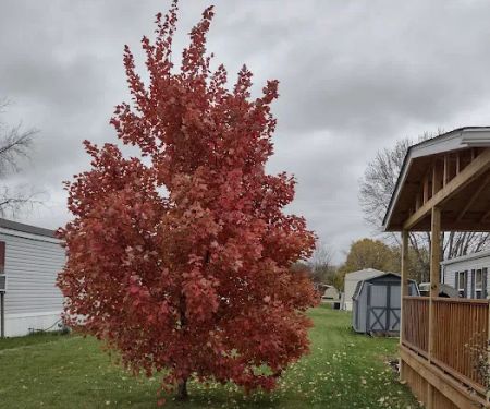 Green Acres Mobile Home Court
