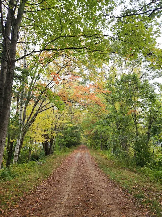 Silver Springs Campground Picture 10