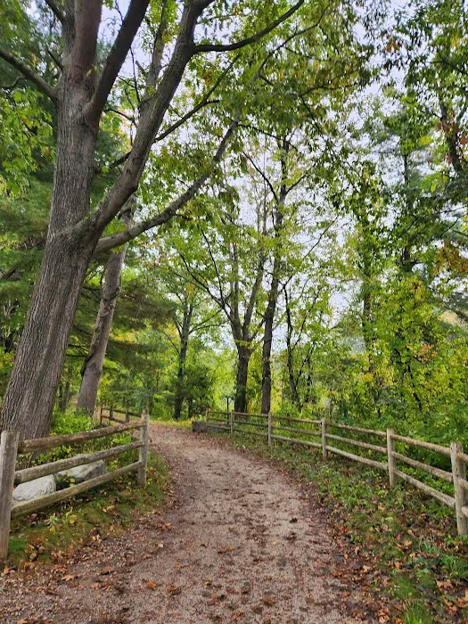 Silver Springs Campground Picture 5