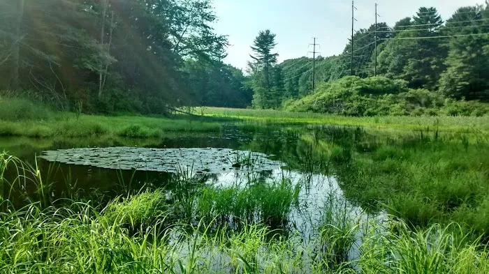 Silver Springs Campground Picture 7