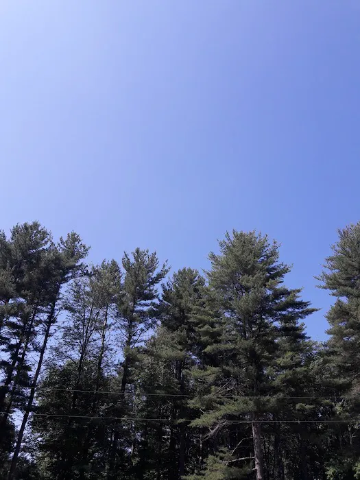 Virginia Tent at Wild Acres Picture 4