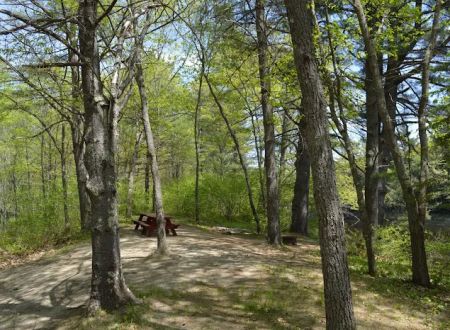 On the Saco Family Campground