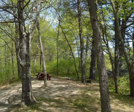 On the Saco Family Campground