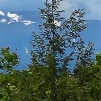Granger Pond Camping Area ico