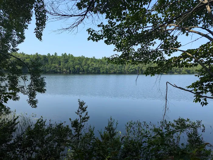 Granger Pond Camping Area Picture 6