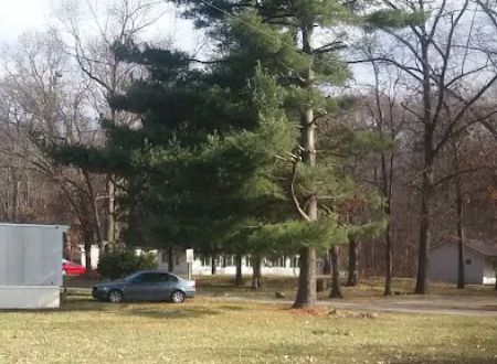Linden Mobile Home Park