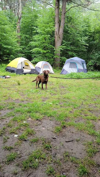 Millstone Campground Picture 3
