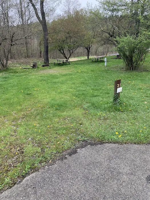 Loleta Recreation Area Picture 8