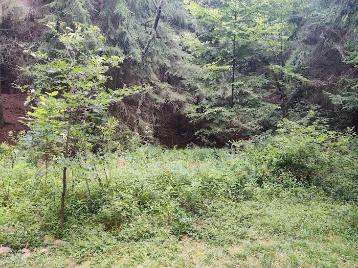 Loleta Recreation Area Picture 7