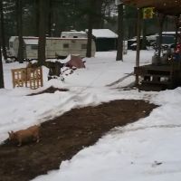 Spirit of the North Campground ico