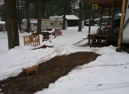 Spirit of the North Campground